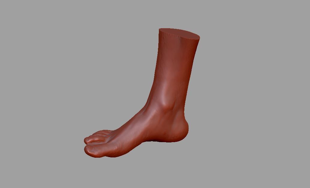 Human leg and foot 3D print model_15