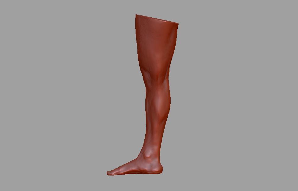 Human leg and foot 3D print model_9