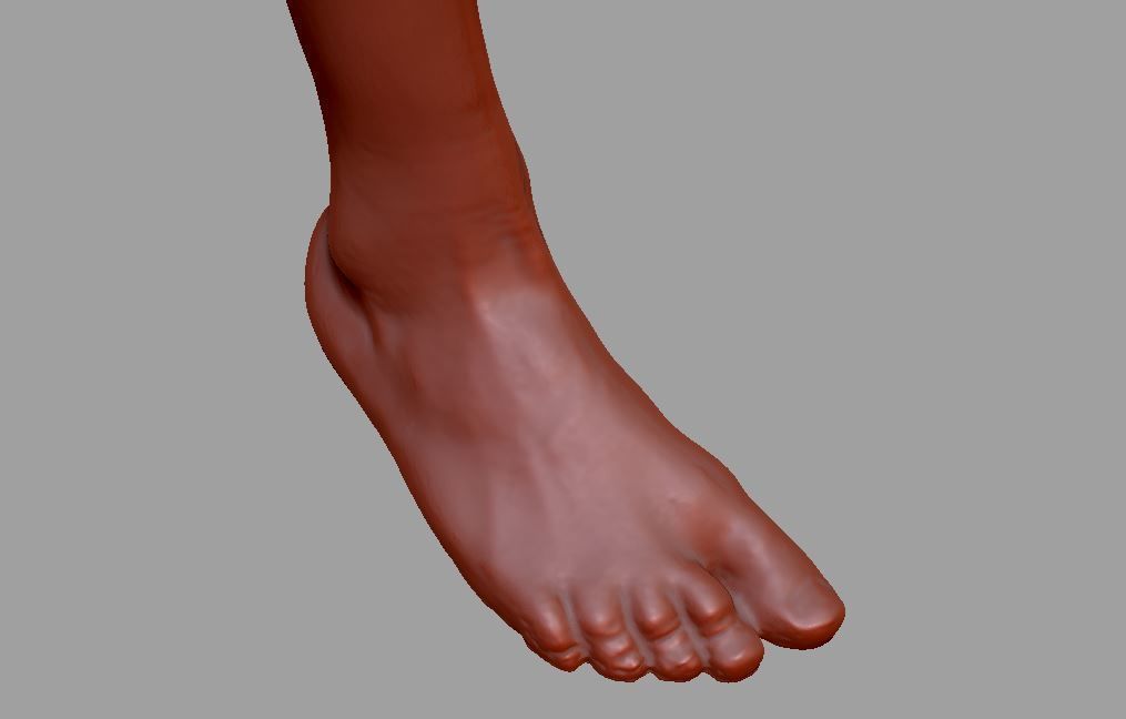 Human leg and foot 3D print model_22