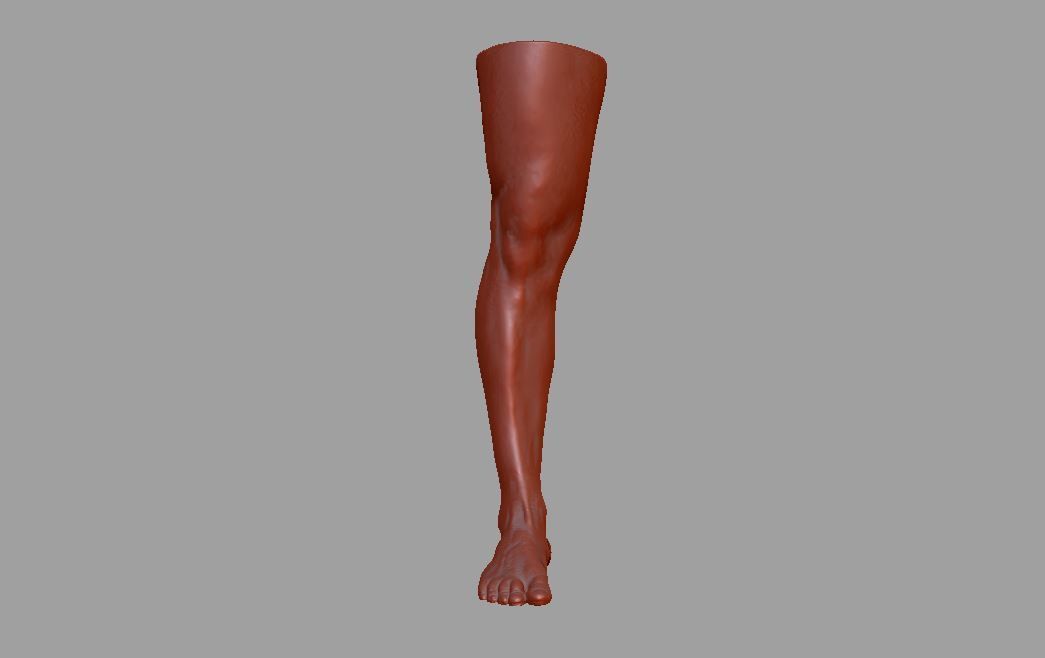 Human leg and foot 3D print model_7
