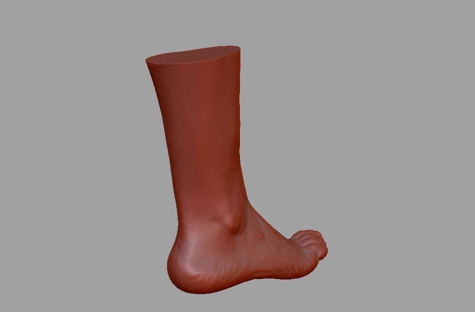 Human leg and foot 3D print model_24