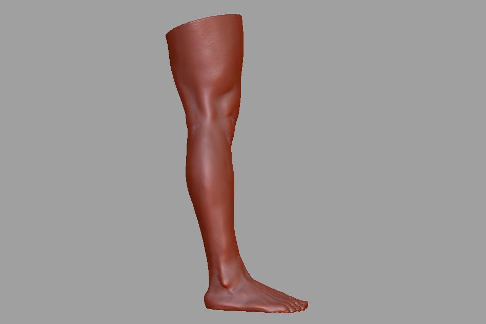 Human leg and foot 3D print model_6