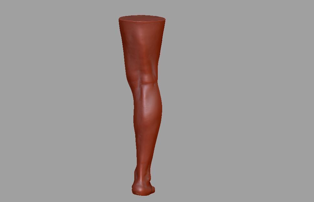 Human leg and foot 3D print model_4