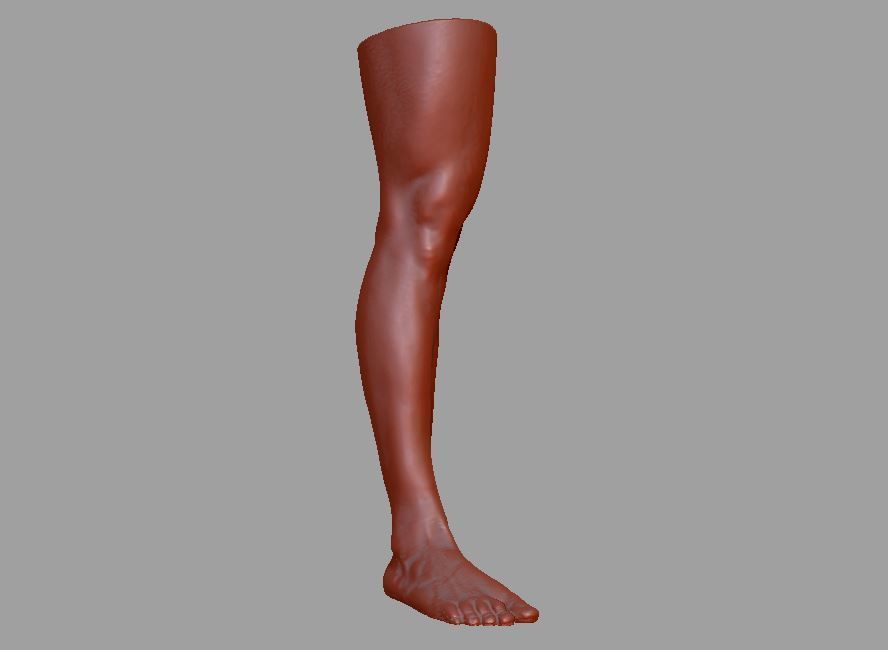 Human leg and foot 3D print model_1