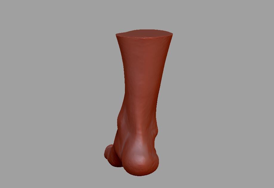 Human leg and foot 3D print model_19
