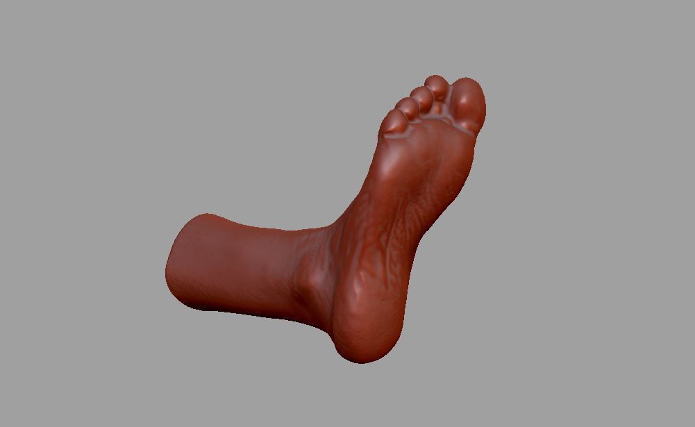 Human leg and foot 3D print model_16