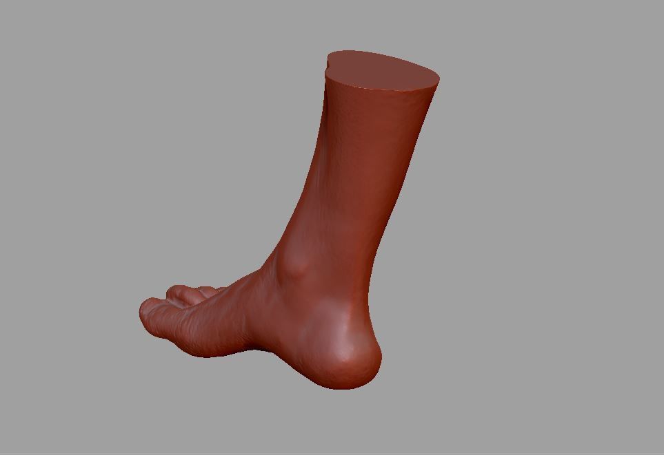 Human leg and foot 3D print model_18