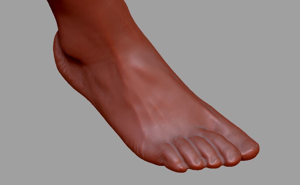 Human leg and foot 3D print model_21