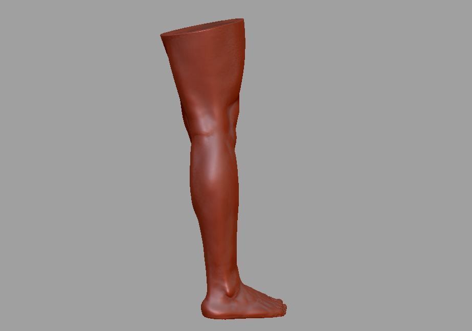 Human leg and foot 3D print model_5