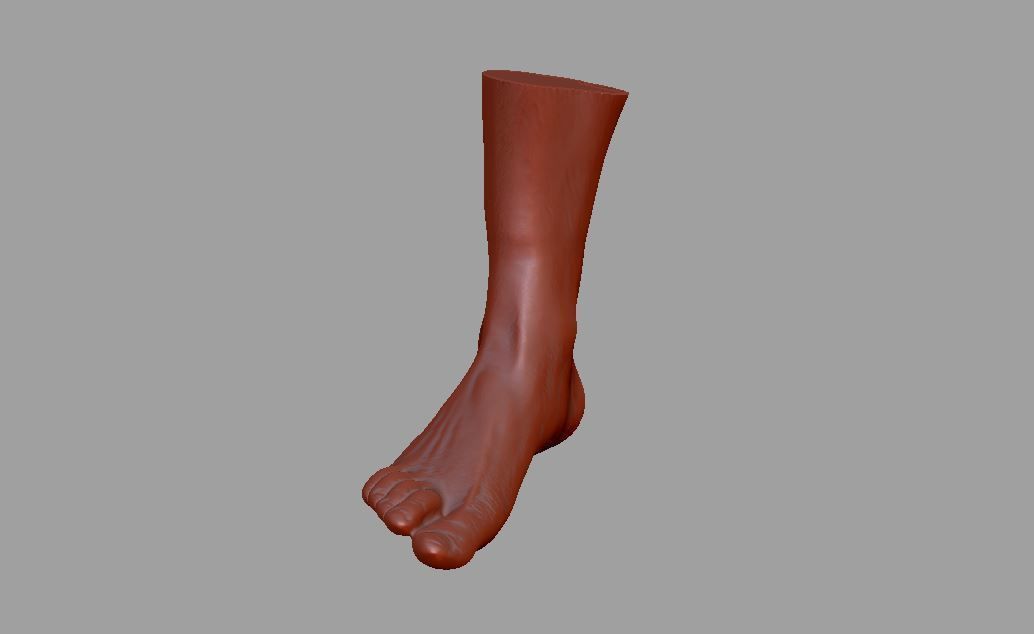 Human leg and foot 3D print model_14