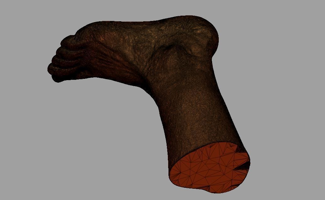 Human leg and foot 3D print model_25