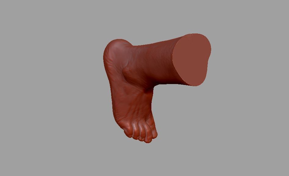 Human leg and foot 3D print model_23