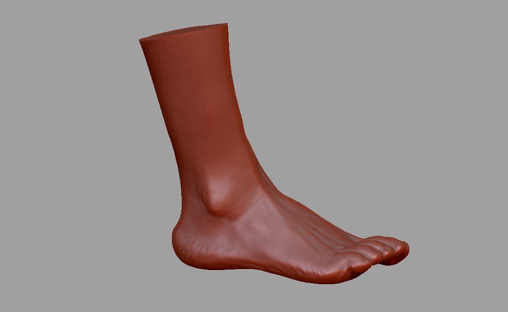 Human leg and foot 3D print model_20