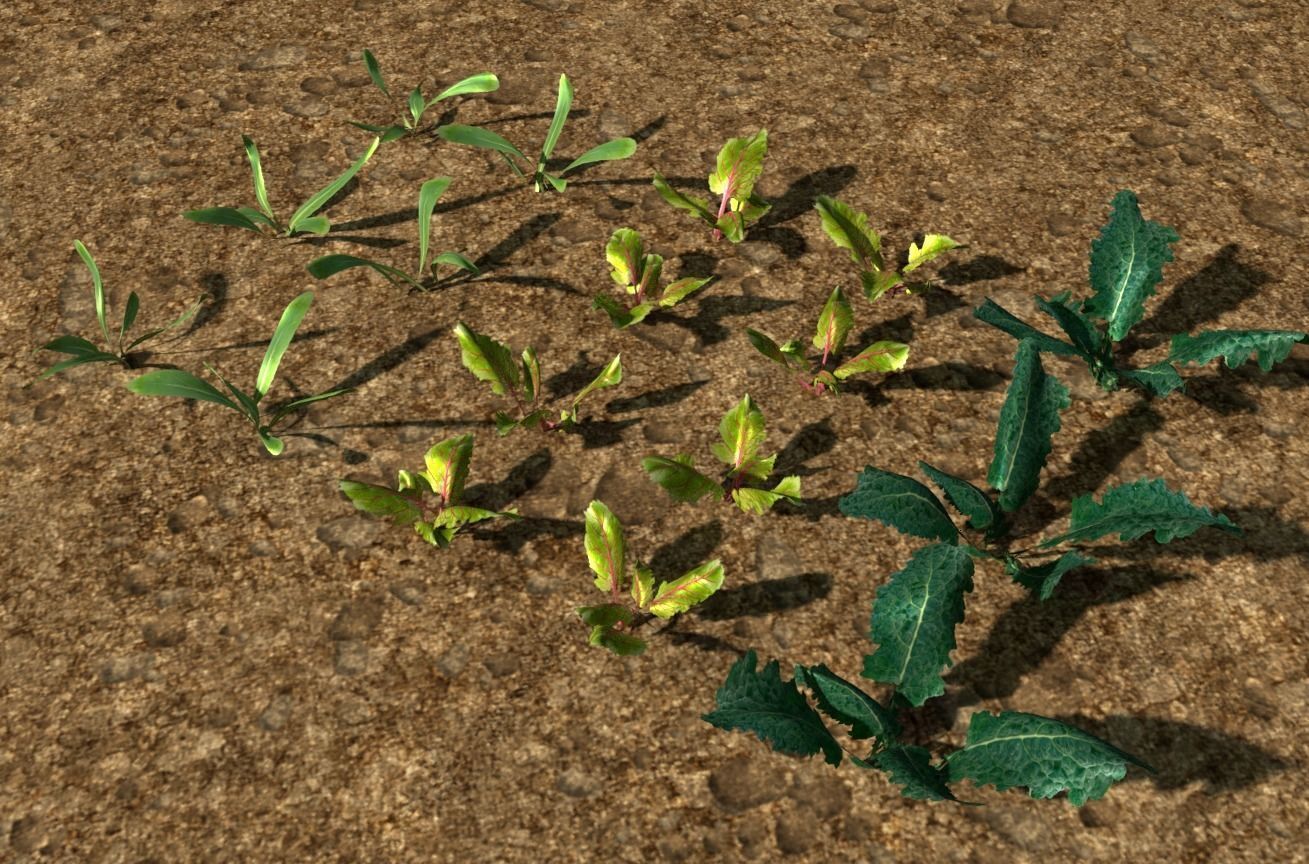 3D vegtable pack model Low-poly 3D model_5