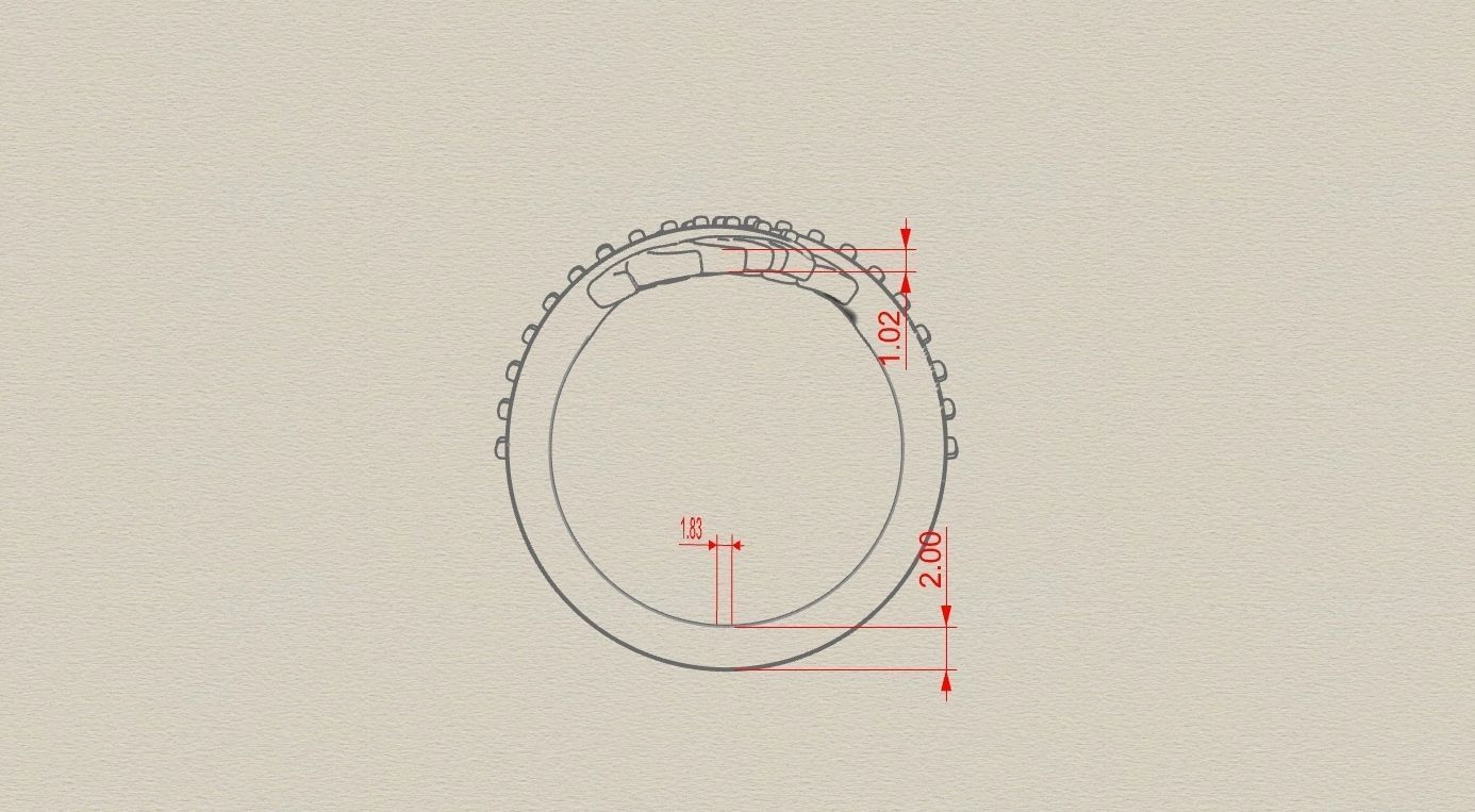 Diamond palm monstera leaf ring Pre supported STLs included 3D print model_6