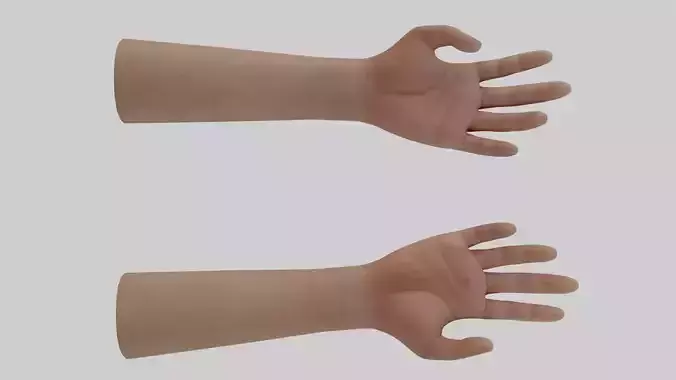 Rigged Hand With PBR Materials and Multiple Skins Low-poly 3D model