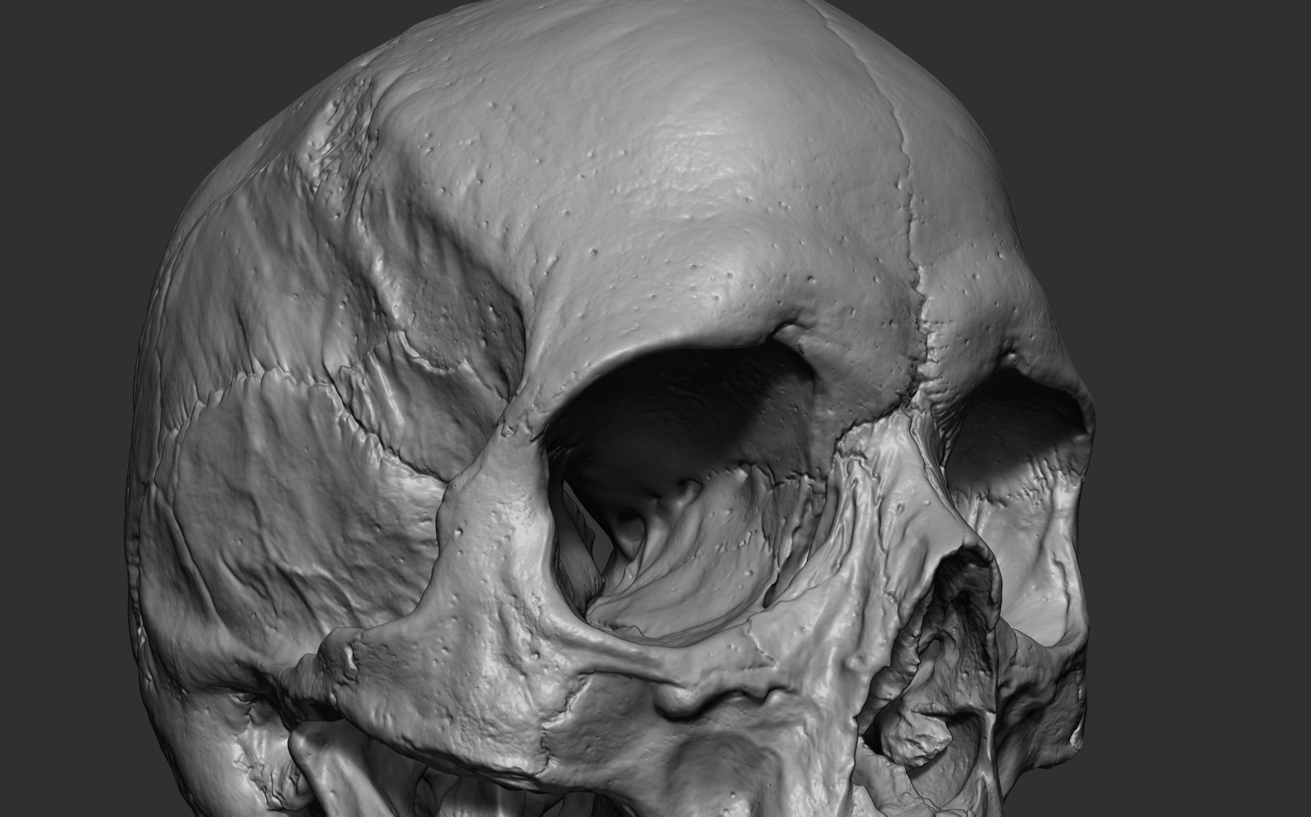 Human female skull- model for rendering- PBR 8K 3D model_3