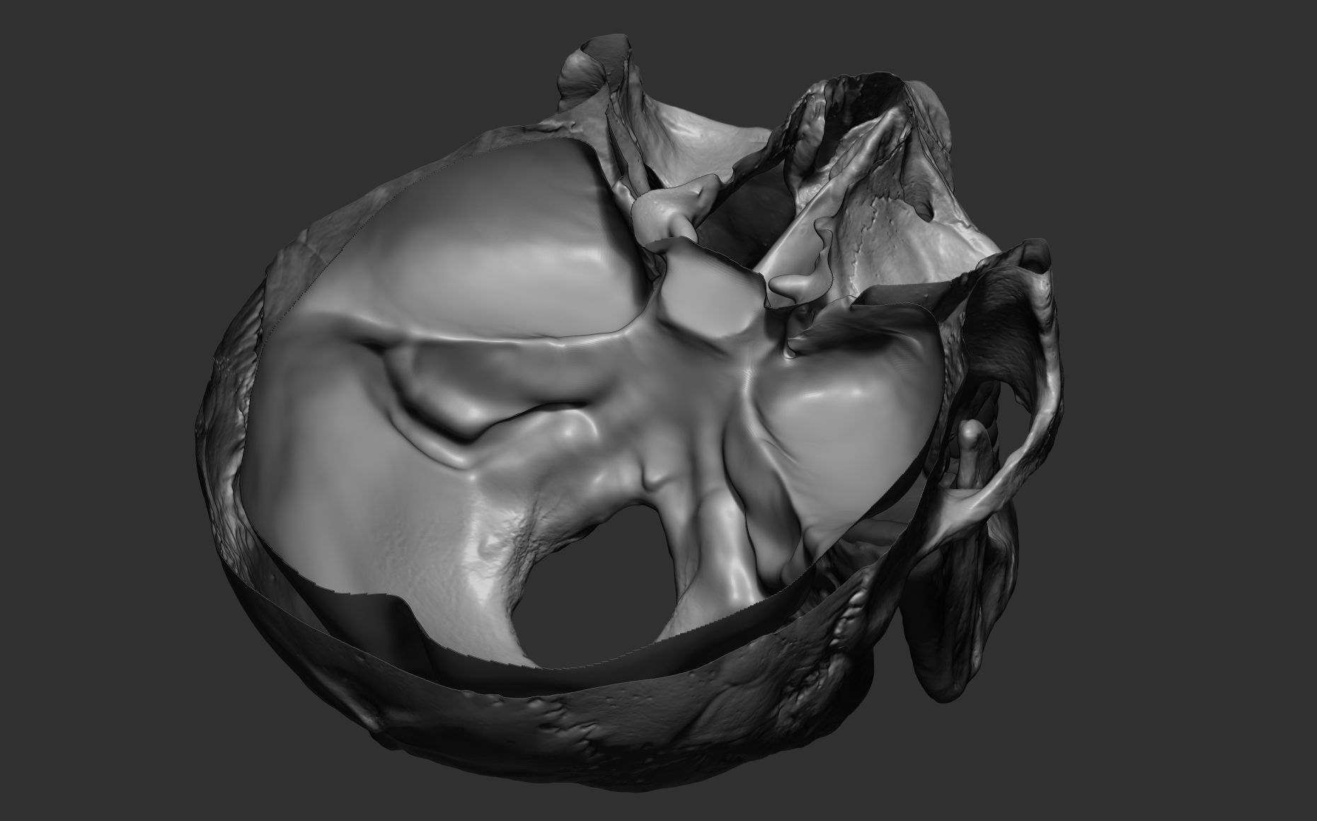 Human female skull- model for rendering- PBR 8K 3D model_28