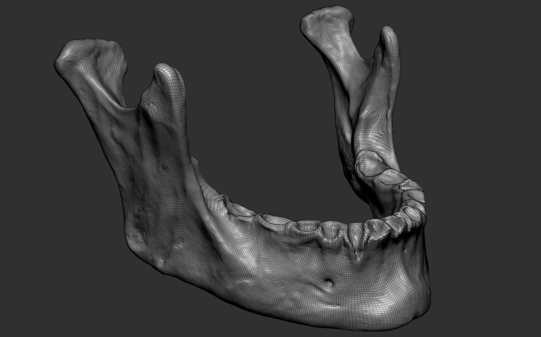 Human female skull- model for rendering- PBR 8K 3D model_7