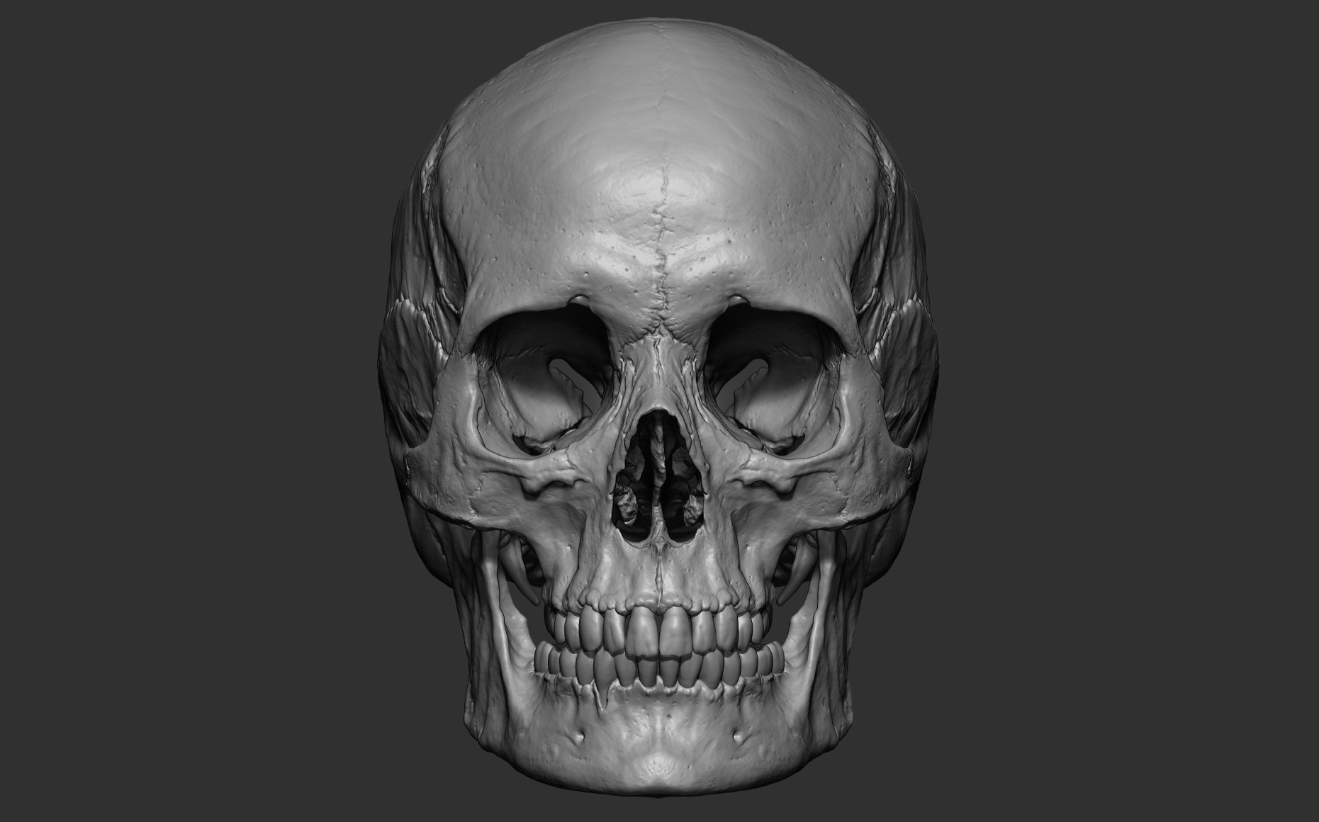 Human female skull- model for rendering- PBR 8K 3D model_24