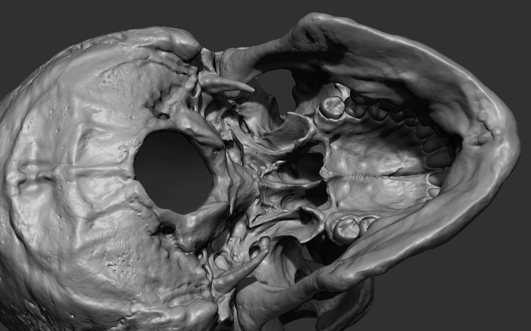 Human female skull- model for rendering- PBR 8K 3D model_2