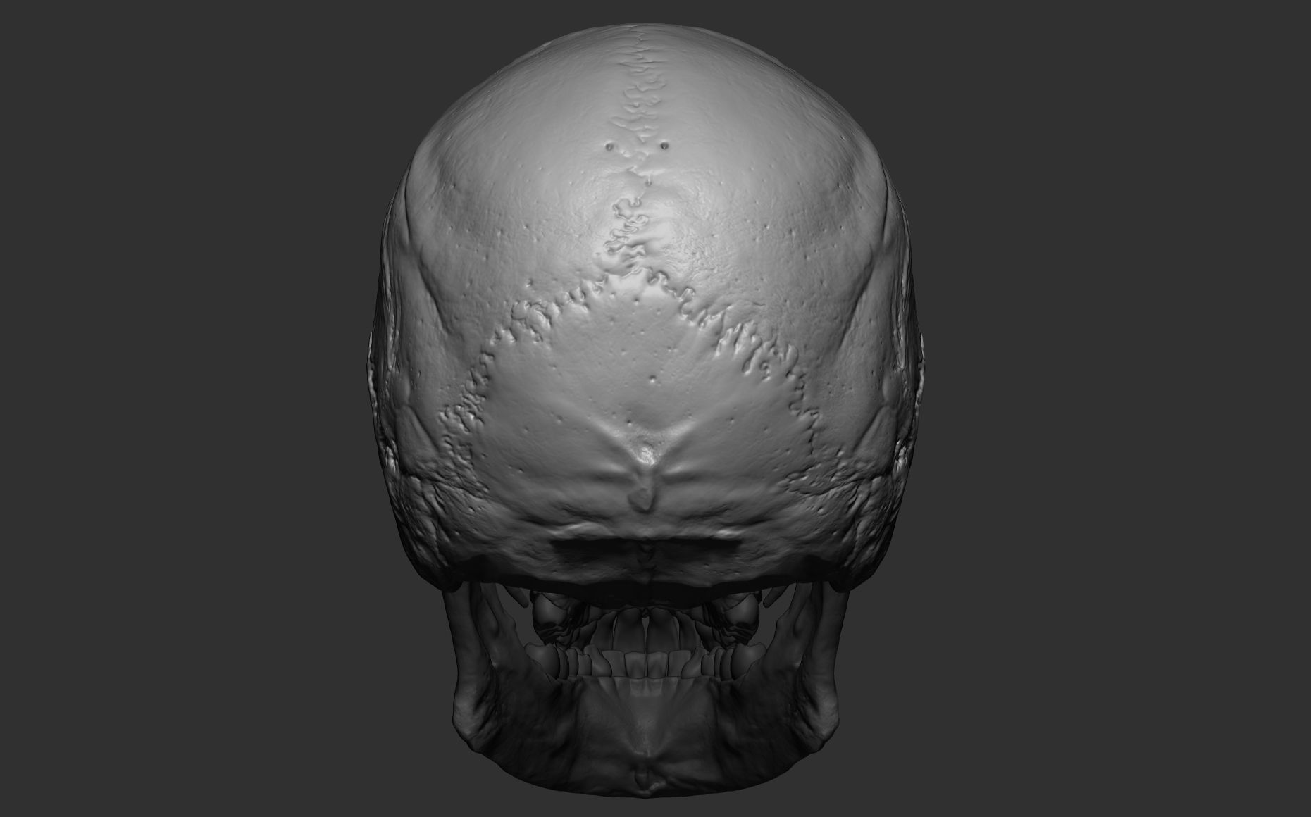 Human female skull- model for rendering- PBR 8K 3D model_25