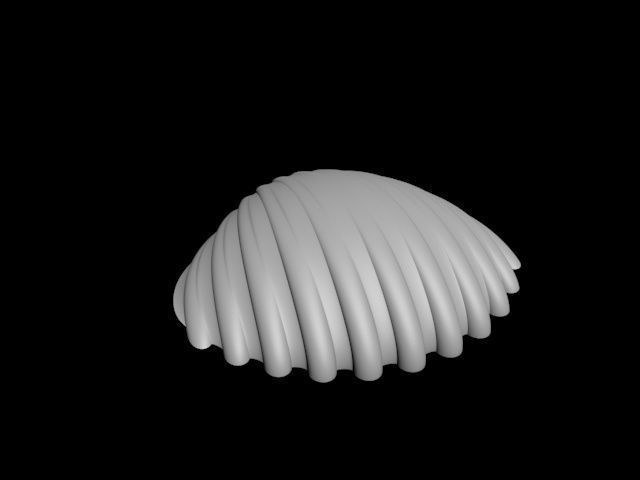 high detail shell from the beach 3D print model_32