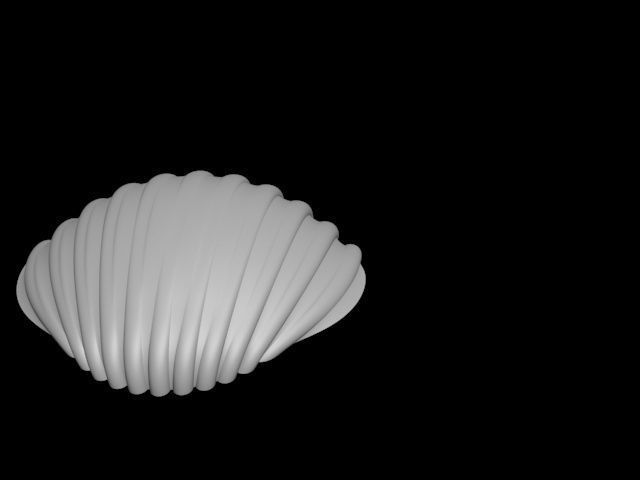 high detail shell from the beach 3D print model_14