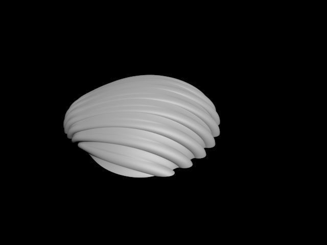 high detail shell from the beach 3D print model_6