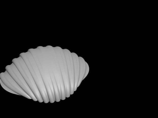 high detail shell from the beach 3D print model_16