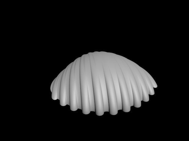 high detail shell from the beach 3D print model_31