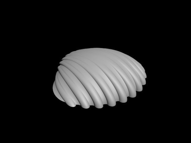 high detail shell from the beach 3D print model_2