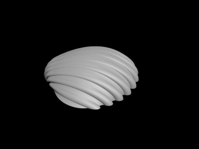 high detail shell from the beach 3D print model_5