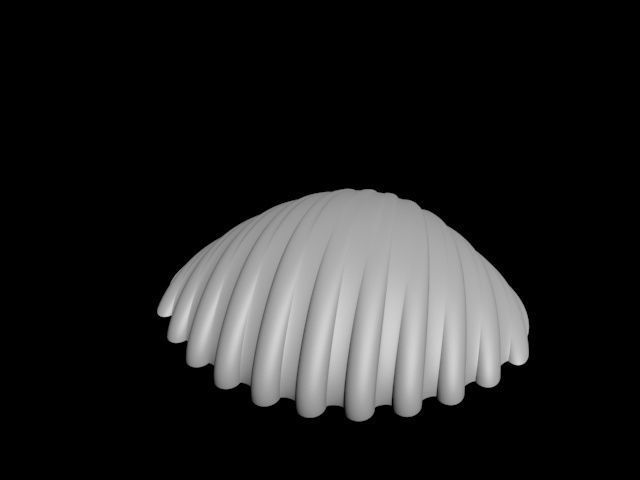 high detail shell from the beach 3D print model_29