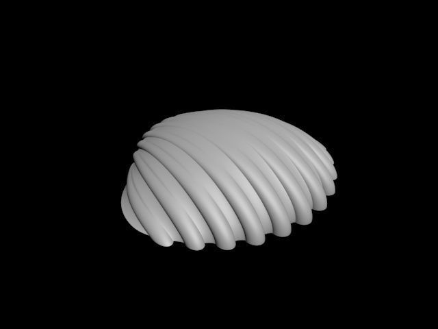 high detail shell from the beach 3D print model_34