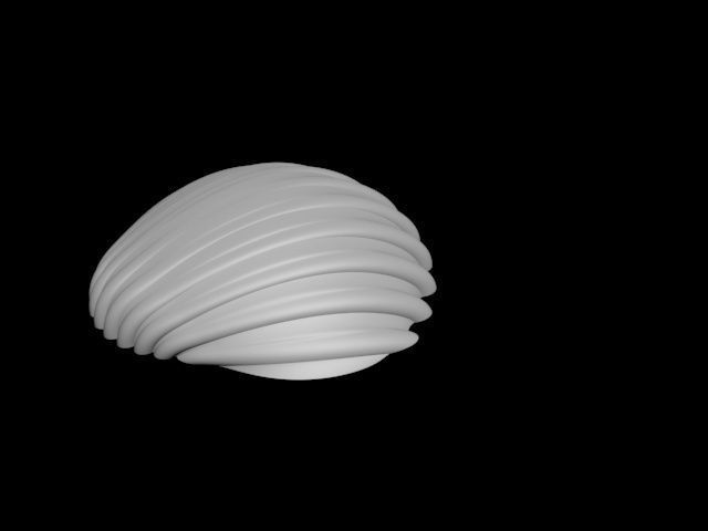 high detail shell from the beach 3D print model_9