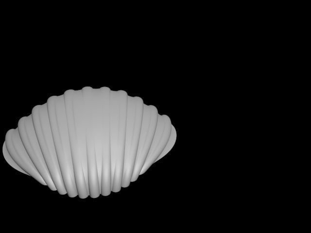 high detail shell from the beach 3D print model_15