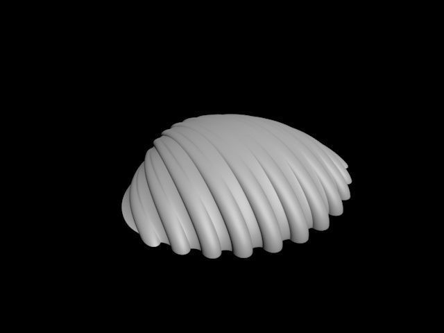 high detail shell from the beach 3D print model_33