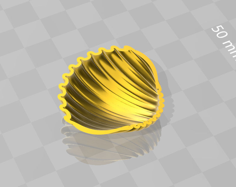 high detail shell from the beach 3D print model_1