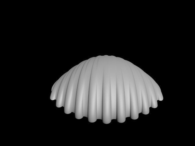 high detail shell from the beach 3D print model_30