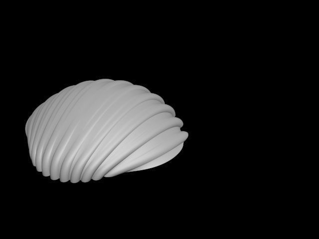 high detail shell from the beach 3D print model_12