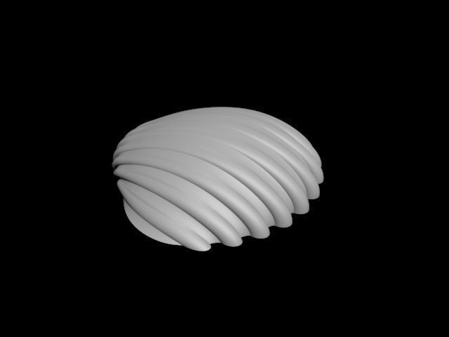 high detail shell from the beach 3D print model_4