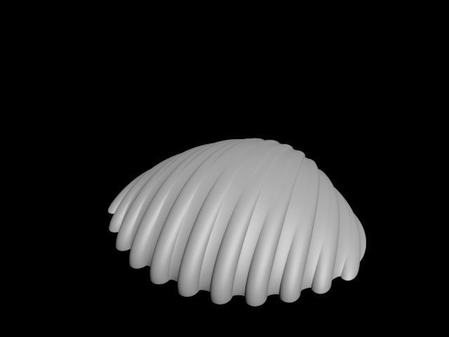 high detail shell from the beach 3D print model_28