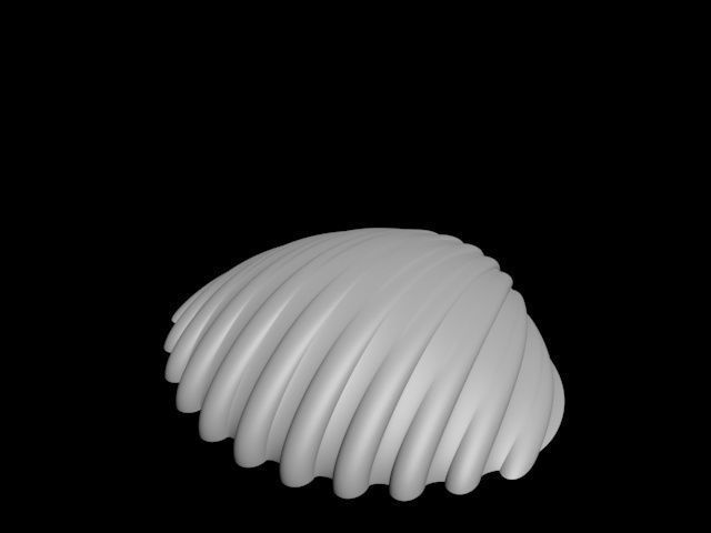 high detail shell from the beach 3D print model_27