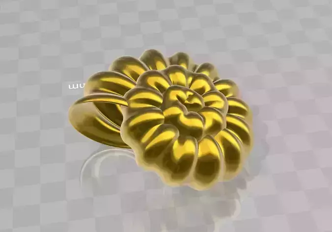 nautilus shell from sea animal  high detail 3D model