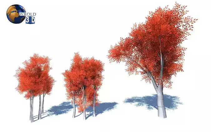 colourful Tree Lowpoly 3D Model