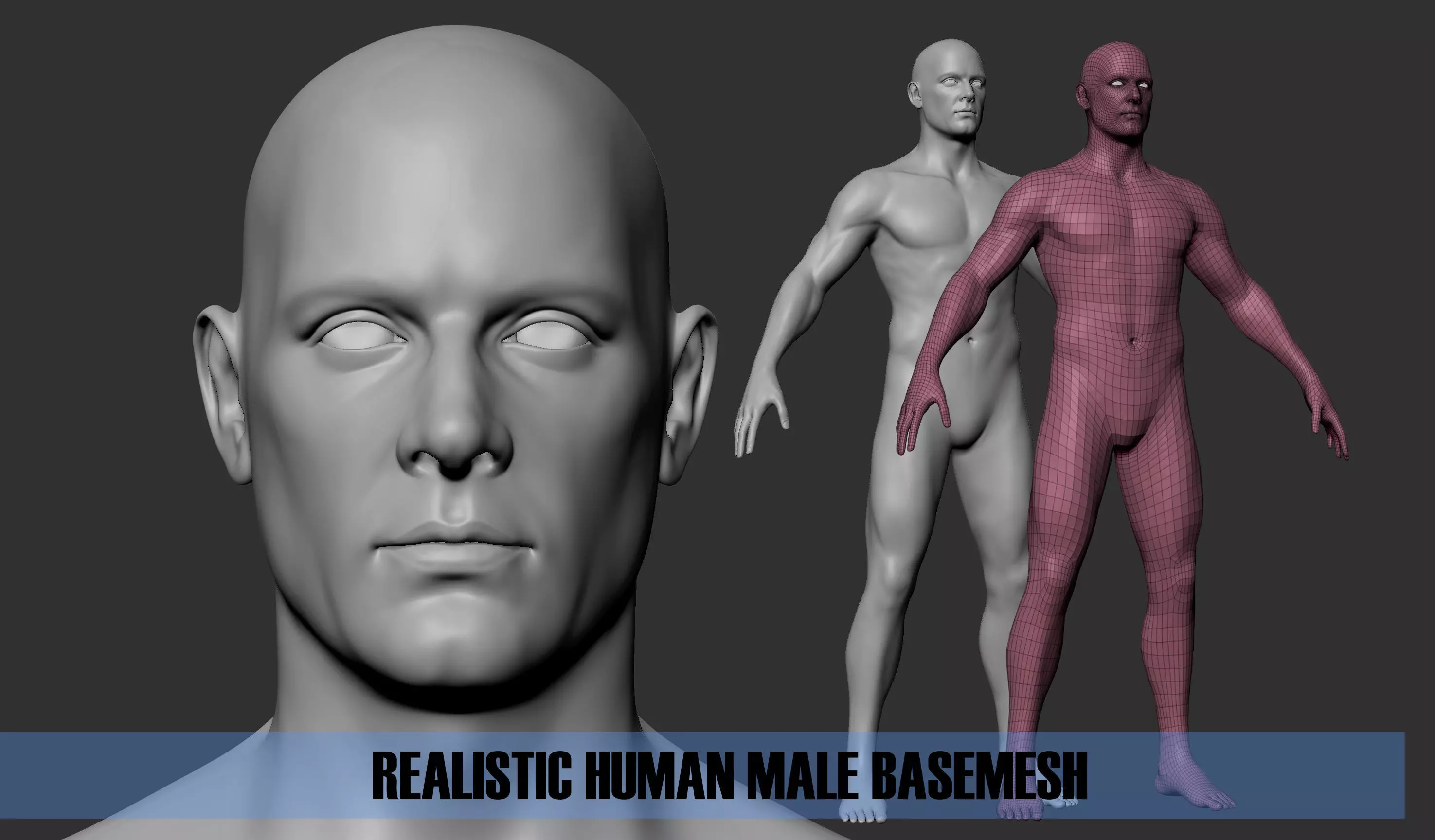Realistic Human Male Basemesh Low-poly 3D model