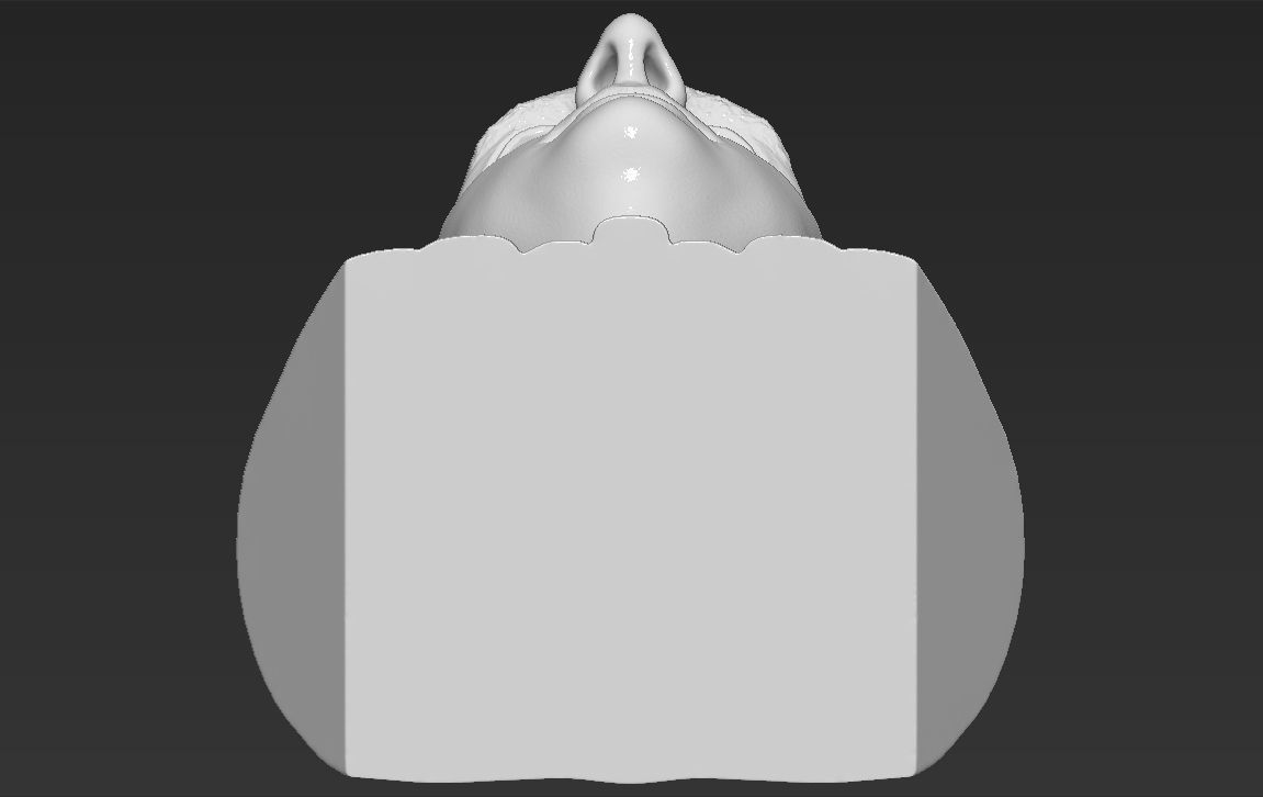 Michael Scott The Office bust 3D printing ready stl obj formats 3D print model_22