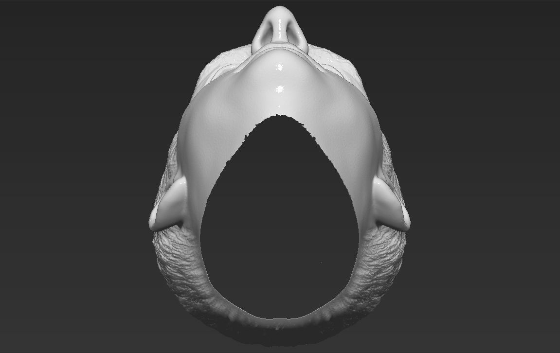 Steve Carell 3D model_40