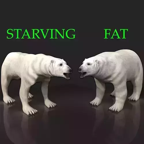 2 Bears - bony skinny starving ravenous emaciated gaunt polar Low-poly 3D model